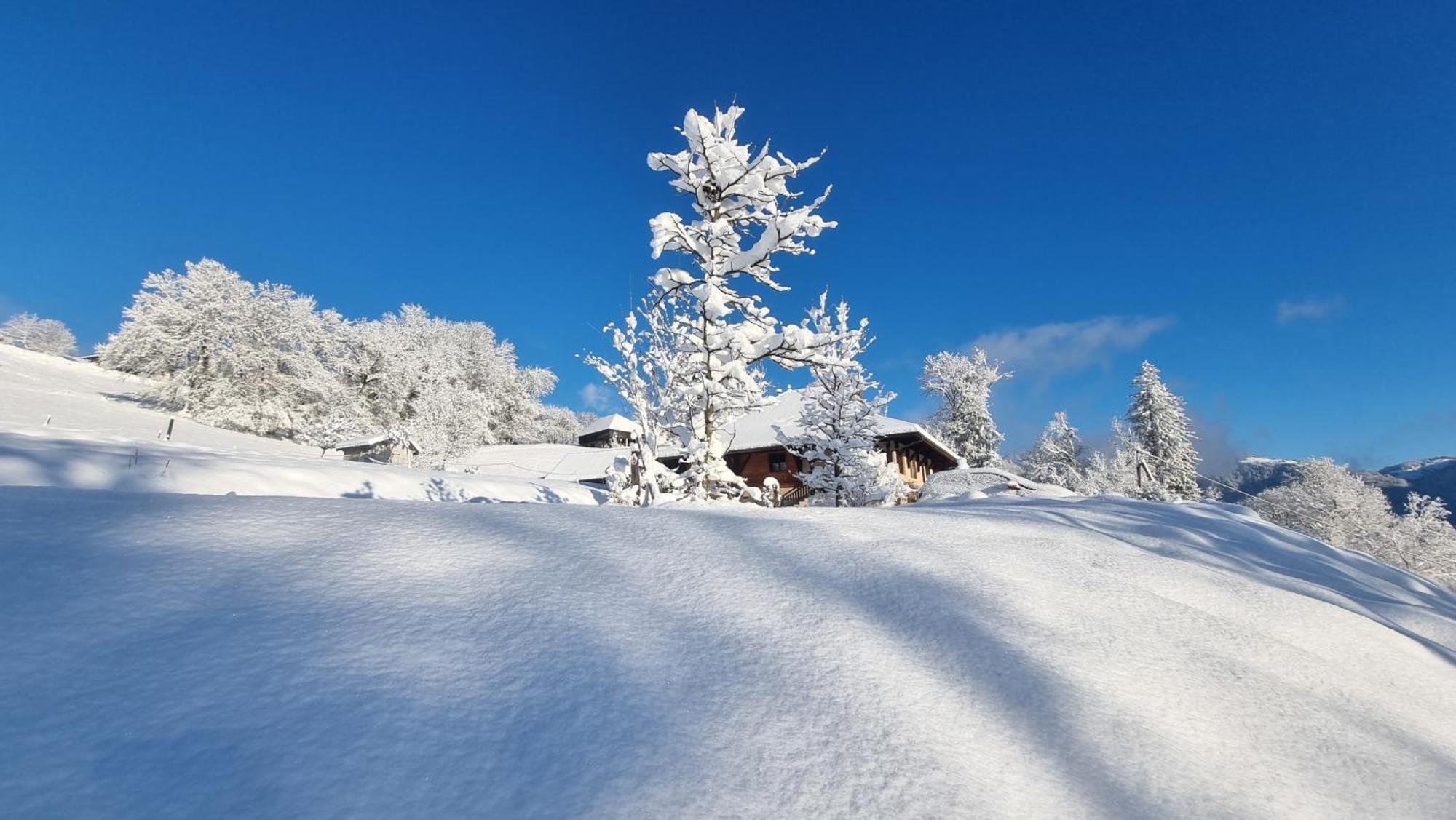 Le Refuge Du Montagnard Bed & Breakfast Marthod Bagian luar foto